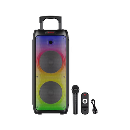 Enceinte Rechargeable DG-1122 – 3000W